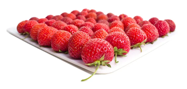 Frische Erdbeeren Nahaufnahme Trieb auf weißer Oberfläche — Stockfoto