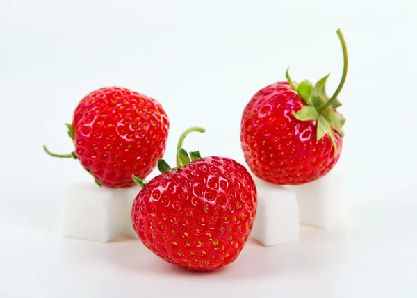 Erdbeere auf Zuckerwürfel — Stockfoto