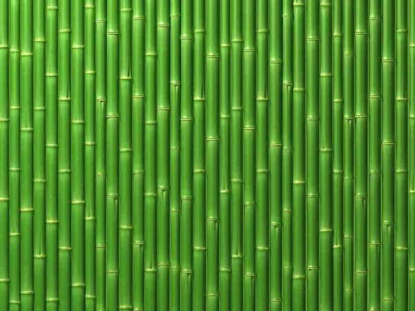 Bamboo wall — Stock Photo, Image