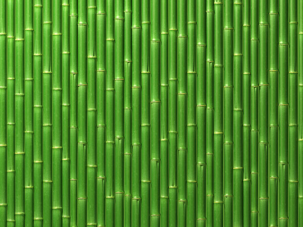 Bamboo wall