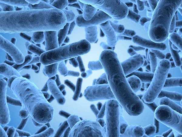 Bactérias — Fotografia de Stock