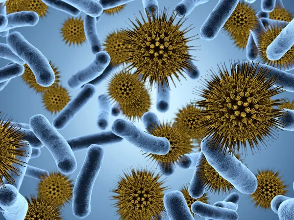 Bacteria — Stock Photo, Image