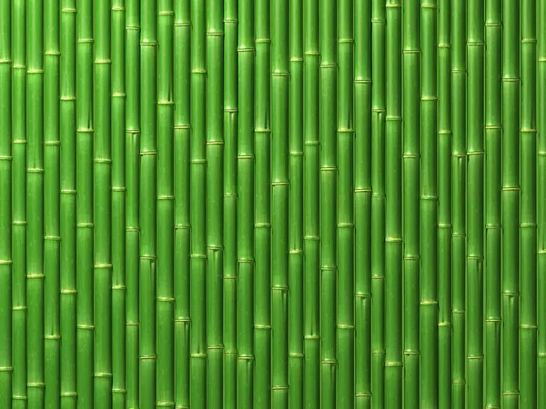 Pared de bambú Imagen de stock
