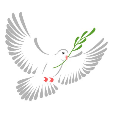 Beyaz Güvercin