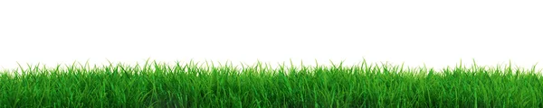 Verse gras — Stockfoto