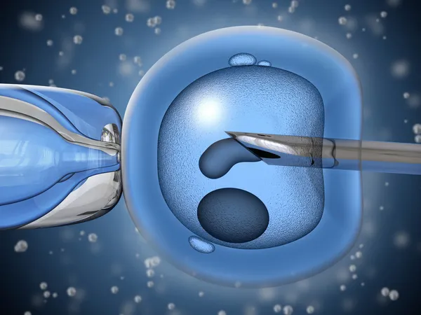 Artificiell insemination — Stockfoto