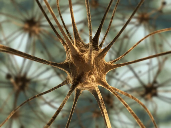 Neurons — Stock Photo, Image