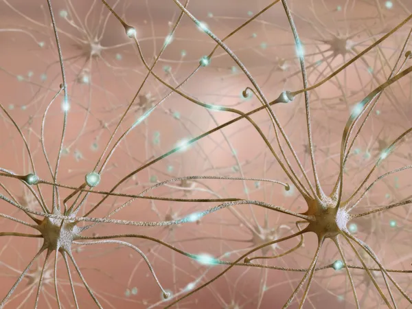 Neurônios — Fotografia de Stock