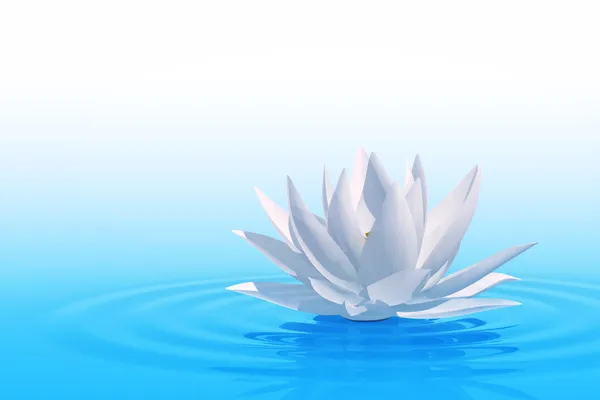 Lotos pływającydrijvende waterlily — Zdjęcie stockowe