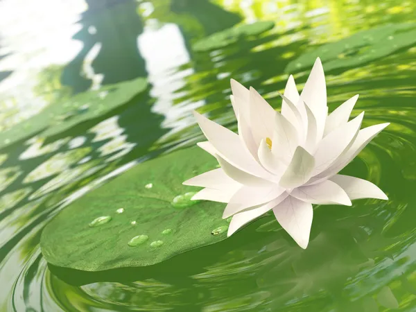 3d lotus flower Stock Photos, Royalty Free 3d lotus flower Images | Depositphotos 3d lotus flower Stock Photos, Royalty Free 3d lotus flower Images | Depositphotos