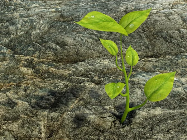 Growing life — Stock Photo, Image