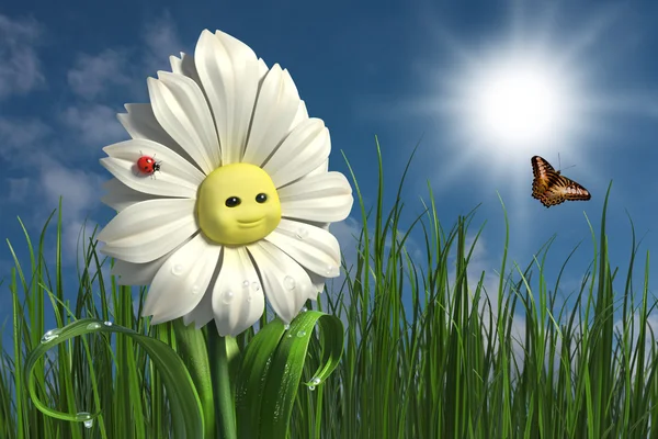 Happy daisy — Stock Photo, Image