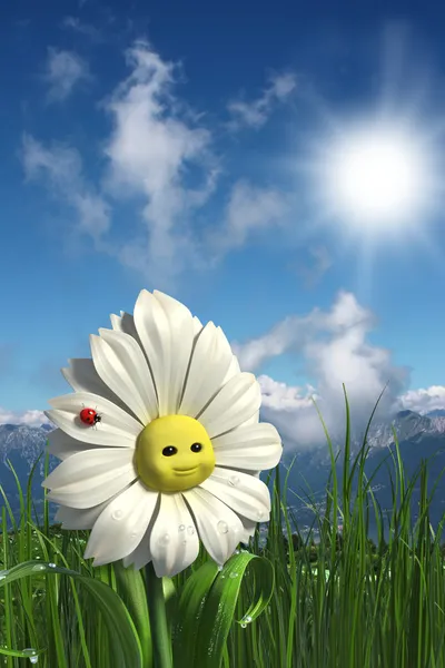 快乐的雏菊 — 图库照片