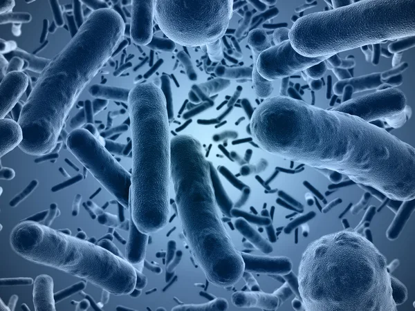 Bacterias bajo el microscopio Fotos de stock