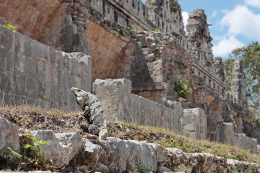 Uxmal Maya harabelerini