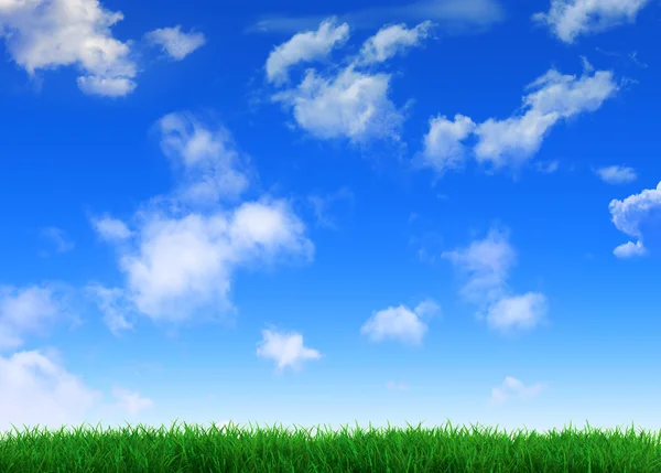 Небо і трави — стокове фото