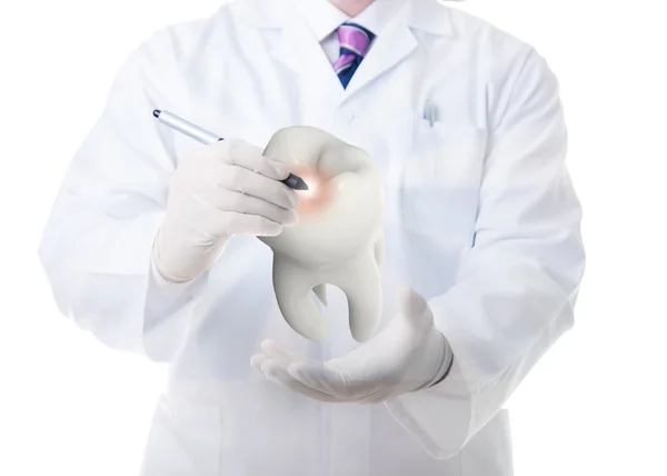 Médico varón mostrando un diente molar — Foto de Stock