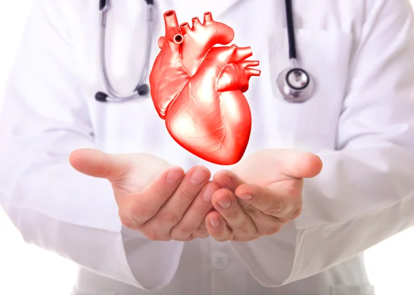 Medico maschio che mostra un cuore rosso — Foto Stock