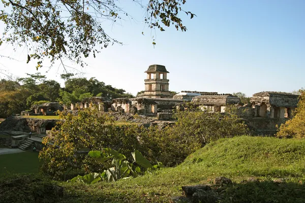Palenque mayan ruins — Stock Photo, Image