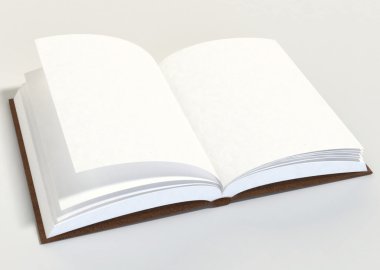 Açık kitap