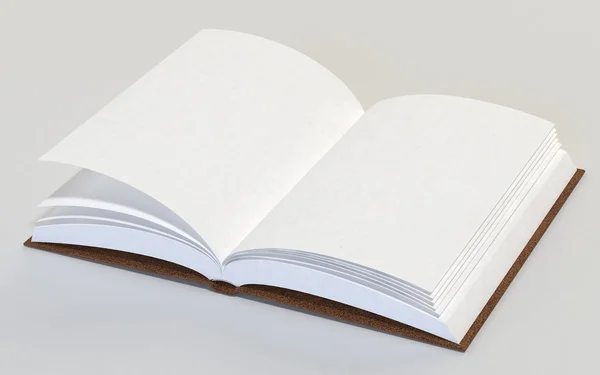 Open book — Stock Photo, Image
