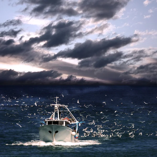 船和海鸥 — 图库照片