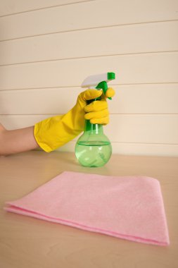 hizmetçi ve ev işleri