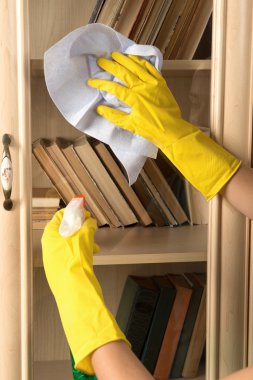 hizmetçi ve ev işleri