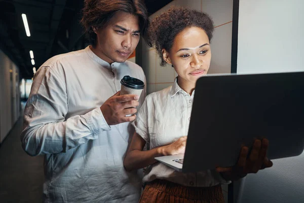 Werknemers besteden vakantie samen op het werk — Stockfoto