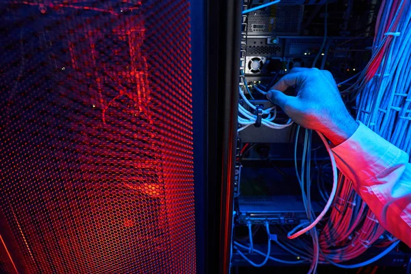 Hand van de technicus verbinden gedraaid paar kabel met de server — Stockfoto