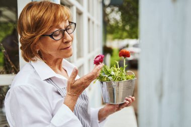 Serene yaşlı kadın ot bitkileriyle ilgileniyor.