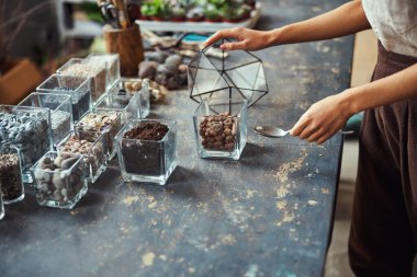 Çiçekçi ve şeffaf cam vazolarda bir takım teraryum malzemeleri.