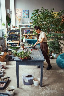 Memnun profesyonel çiçekçi teraryuma sulu bir bitki dikiyor.