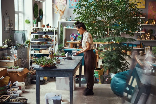 Konsantre çiçekçi saksı karışımını geometrik bir çiçekçiye ekliyor.