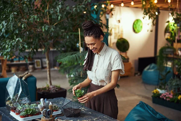 多面体前に多面体の前に鉢植えの多肉植物を持つ喜びの花屋 — ストック写真