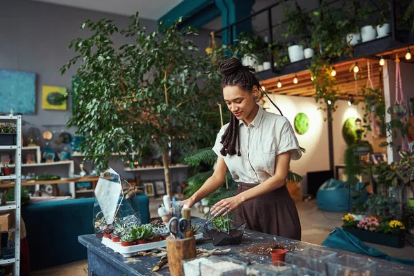 Concentrated cute florist creating a plant terrarium in her workshop — Stock Photo, Image