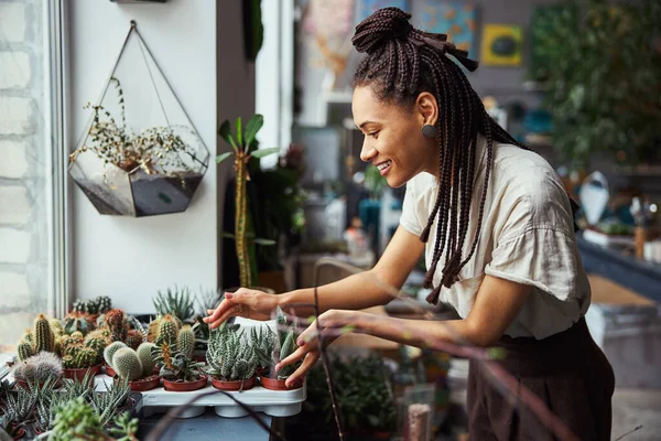 Joyful florist leaning over potted succulents in the nursery tray — Stock Photo, Image