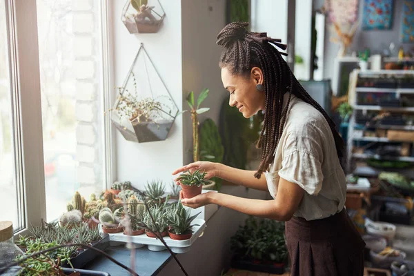 Zufriedene Blumendesignerin begutachtet eine Mini-Sukkulente — Stockfoto