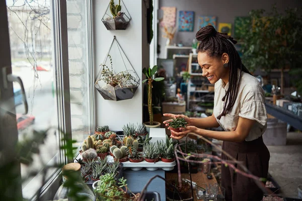 Fiorista vivace guardando una pianta esotica nelle sue mani — Foto Stock