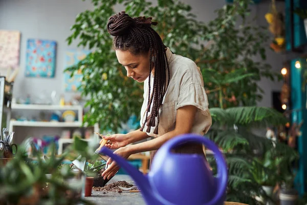 Fiorista pulire l'interno di un florario con un pennello — Foto Stock