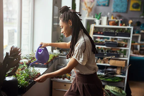 エキゾチックな植物の世話をするプロの花屋 — ストック写真