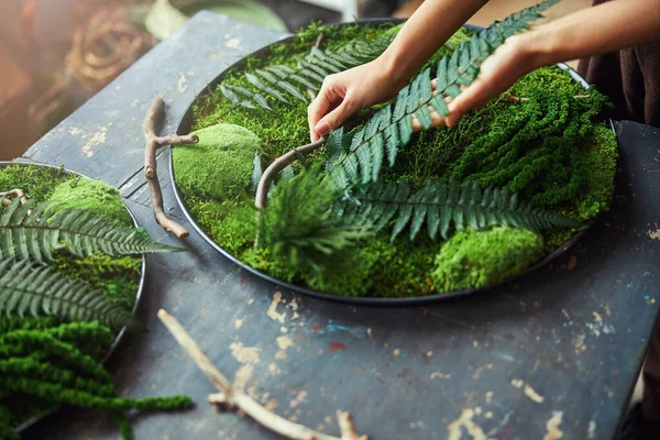 円苔アート作品に取り組むプロの花屋 — ストック写真