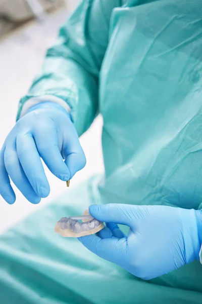 Dentist holding teeth model and dental implant — Stock Photo, Image