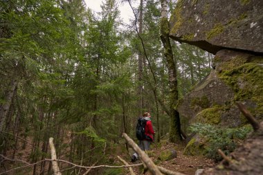 Sırt çantasıyla ormanda yürüyen bir kadın gezgin.