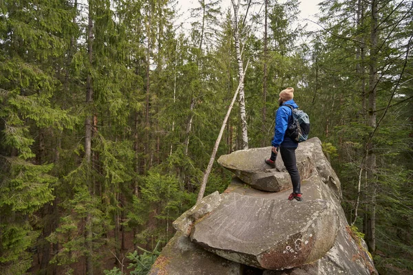 Turistler tek bir orman kayasının zirvesine ulaştılar