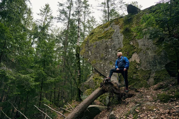 Turist kayanın yanındaki ağaç gövdesine basıyor
