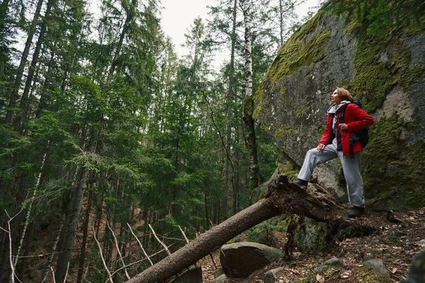 Doğayı keşfetmek için düşen ağaçta yürüyen kadın yürüyüşçü.