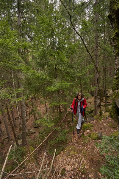 망원경으로 나무를 세우고 숲 속을 지나는 부인 — 스톡 사진