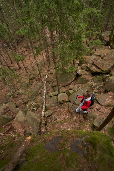 Pohled shora na Nordic Walker, jak jde po skalách v lese — Stock fotografie