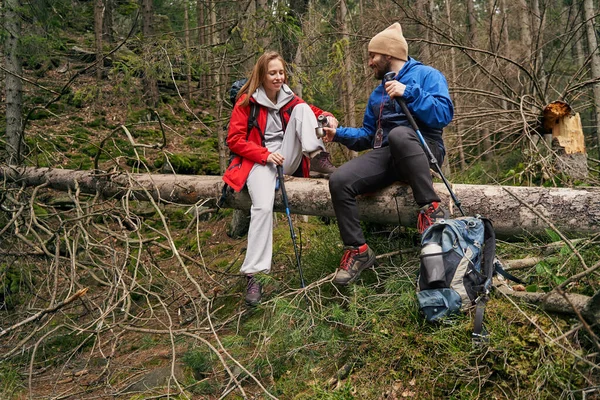 Ağaçtaki kadın termosa çay döküyor.